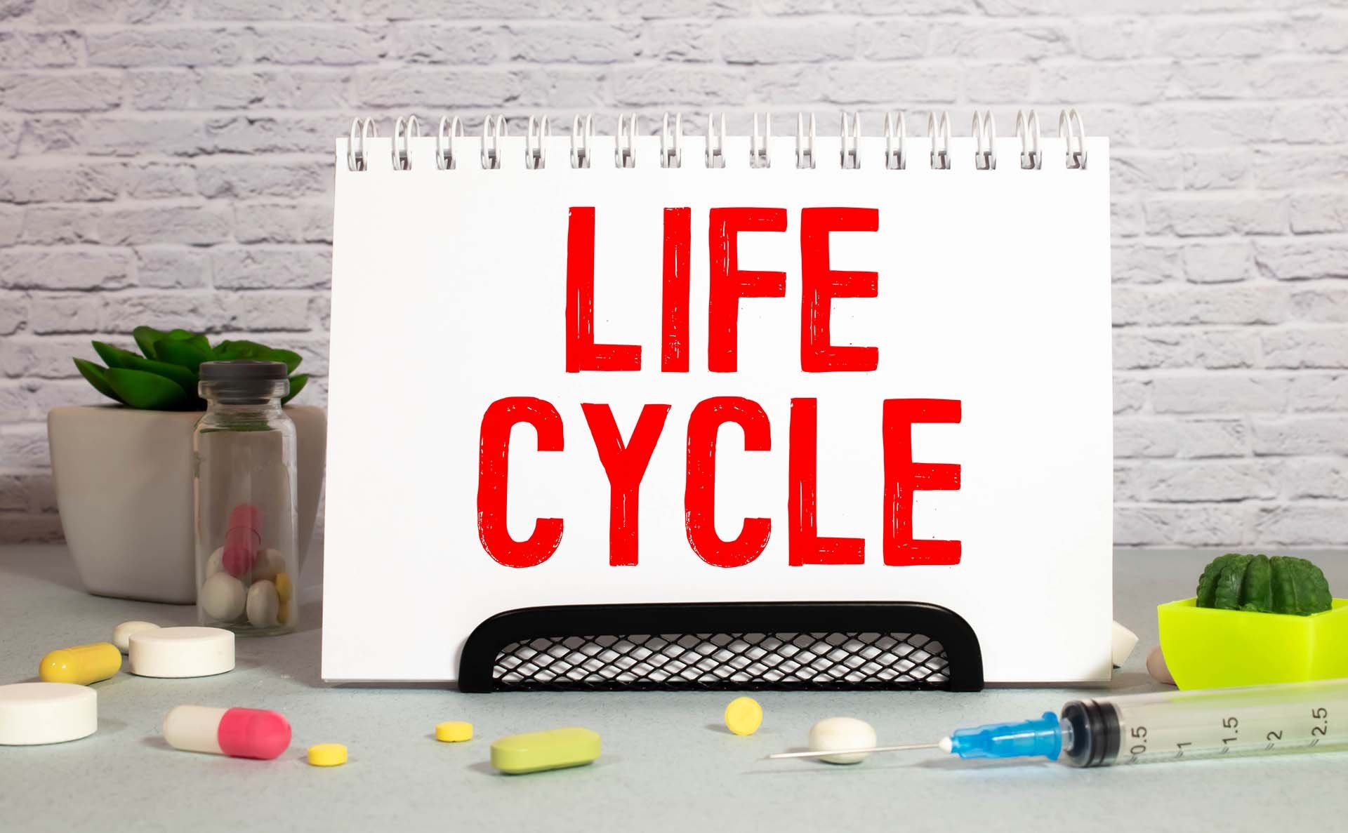 社会人なら知っておきたい文書ライフサイクルの基礎知識