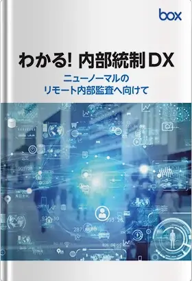 internal-control-dx.webp